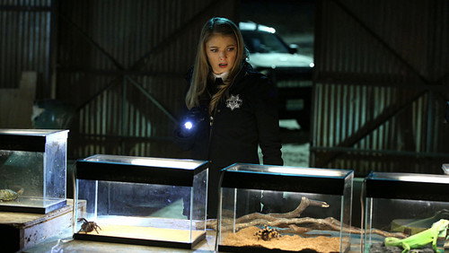 CSI: Investigação Criminal: 15×17
