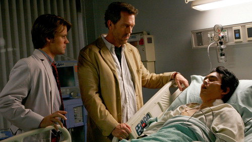 Dr. House: 1×20