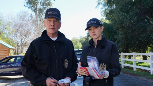 NCIS: Investigação Naval: 17×17