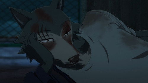 Beastars 2 – Episódio 12
