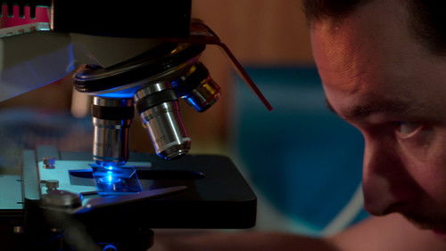 Seleção Artificial: 1×1