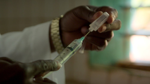 Seleção Artificial: 1×3