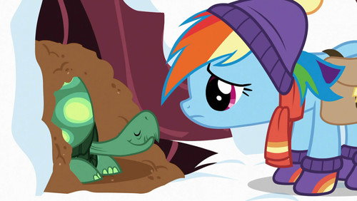 My Little Pony: A Amizade é Mágica: 5×5
