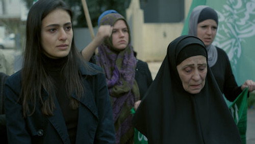Fauda: 4×12