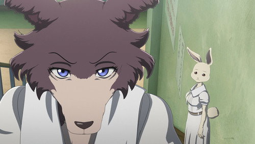 BEASTARS – O Lobo Bom: 1×12