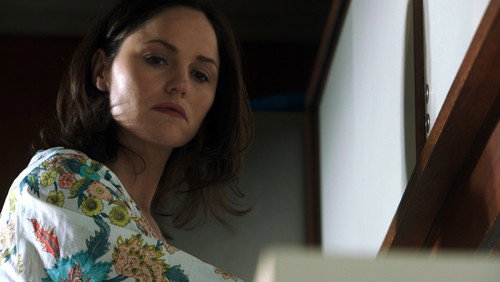 CSI: Investigação Criminal: 13×15