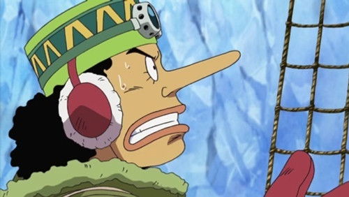 One Piece – Episódio 329