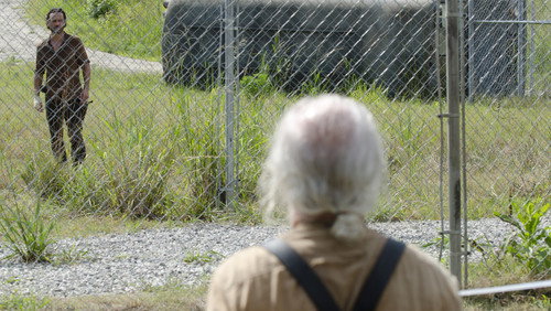 The Walking Dead: 4×8