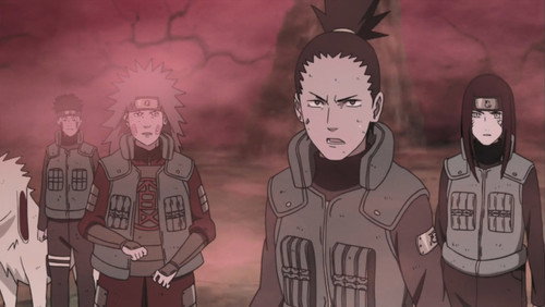 Naruto Shippuden: 14×305