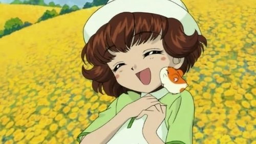 Hamtaro: 1×8