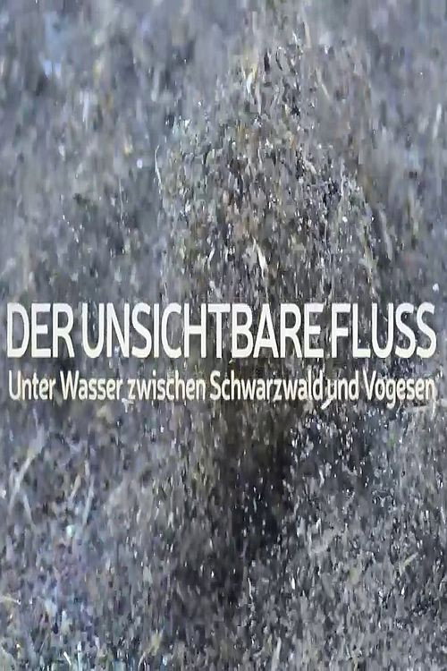 Der unsichtbare Fluss - Unter Wasser zwischen Schwarzwald und Vogesen