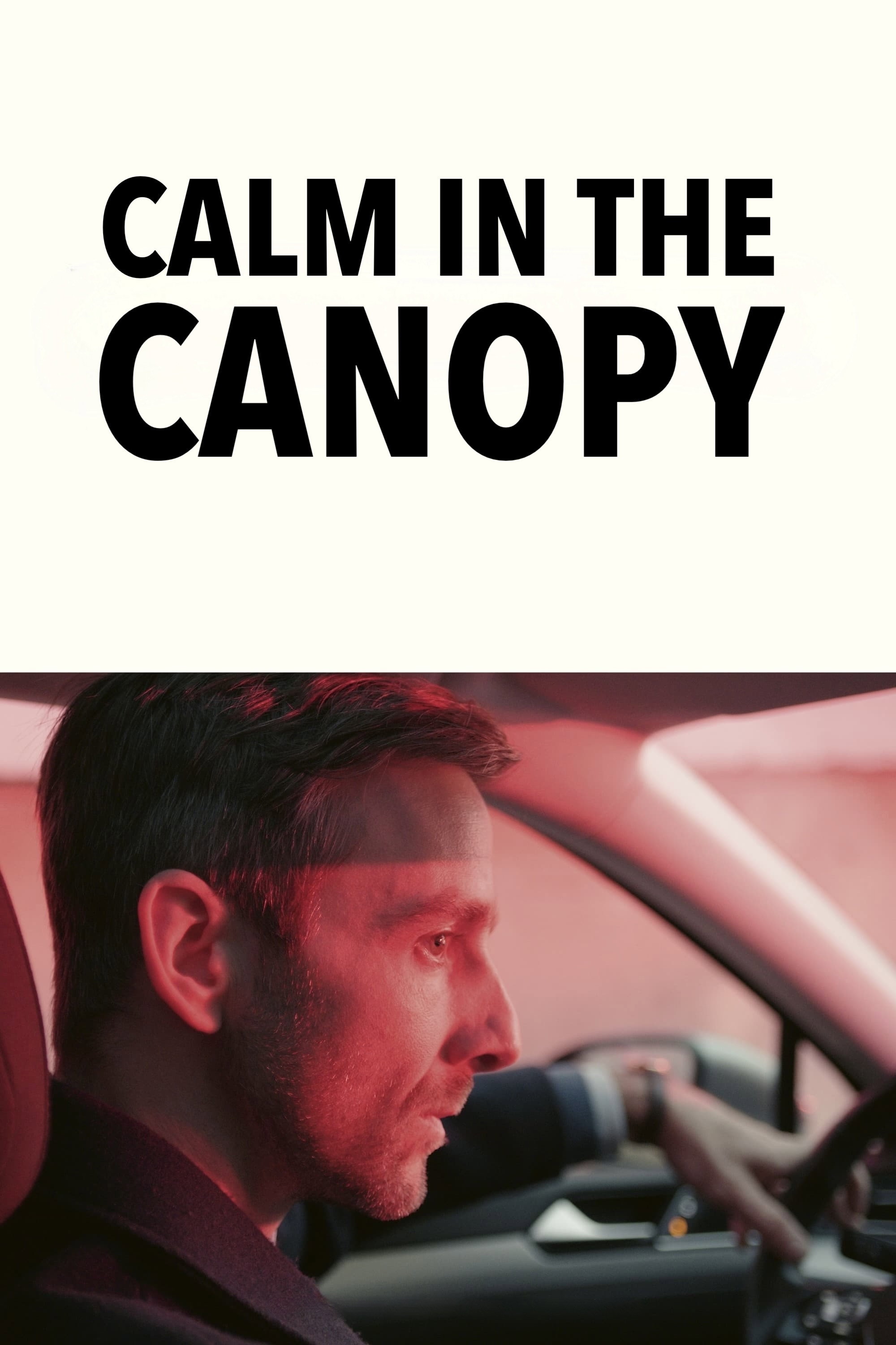 Nocní klid