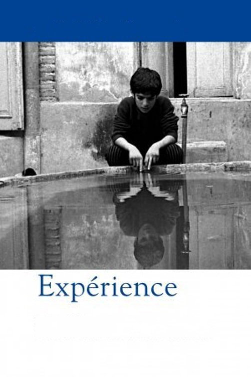 Experience