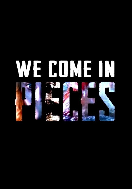 We Come in Pieces