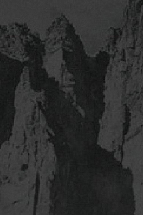 Sazvezdje belog duda