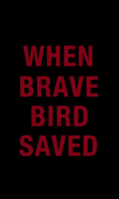 When Brave Bird Saved
