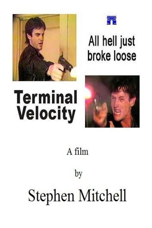 Terminal Velocity