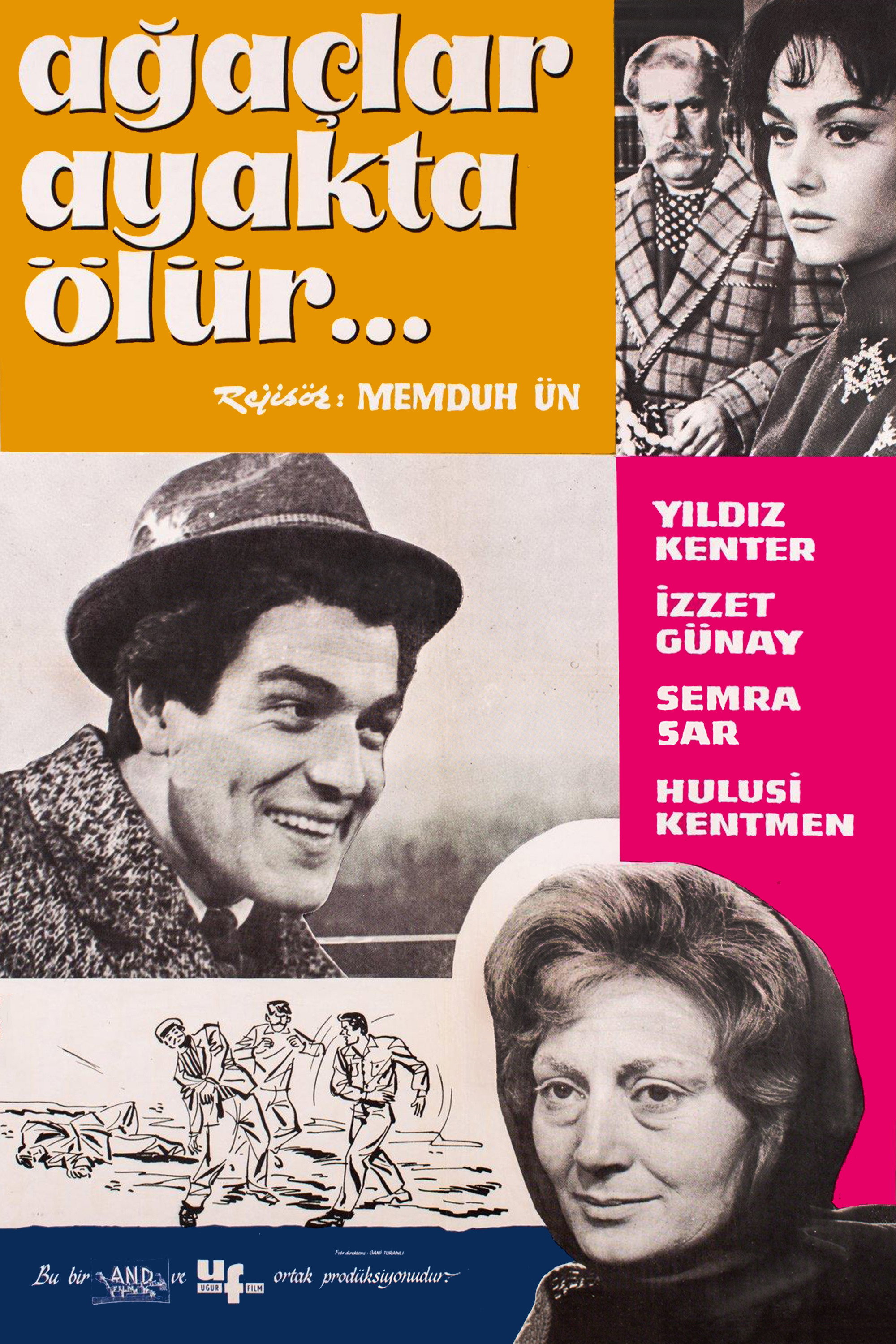 Agaçlar Ayakta Ölür
