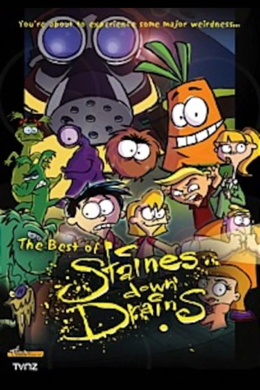 Staines Down Drains