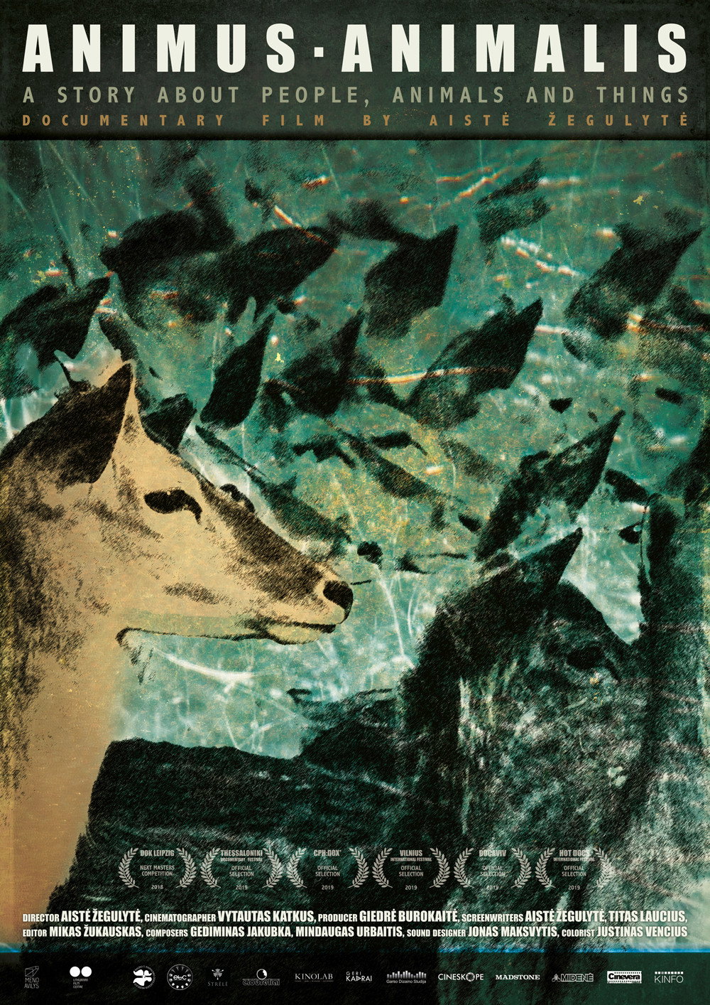 Animus Animalis (a story about People, Animals and Things)