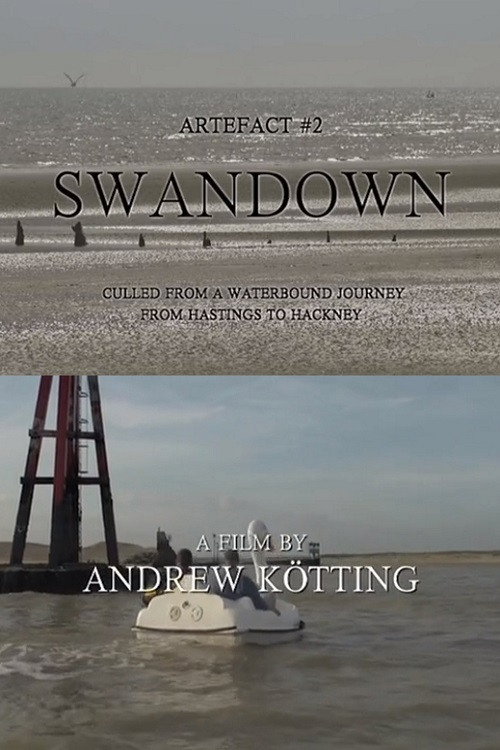 Artefact #2 Swandown