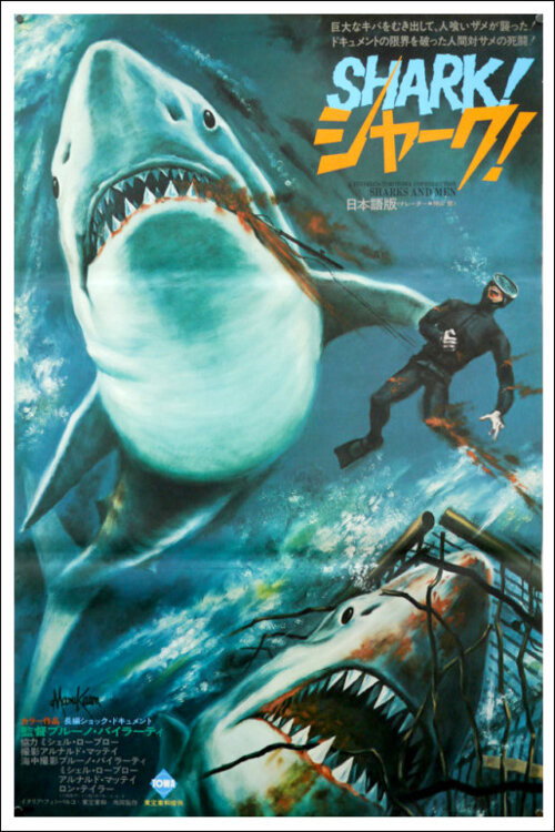 Sharks and Men