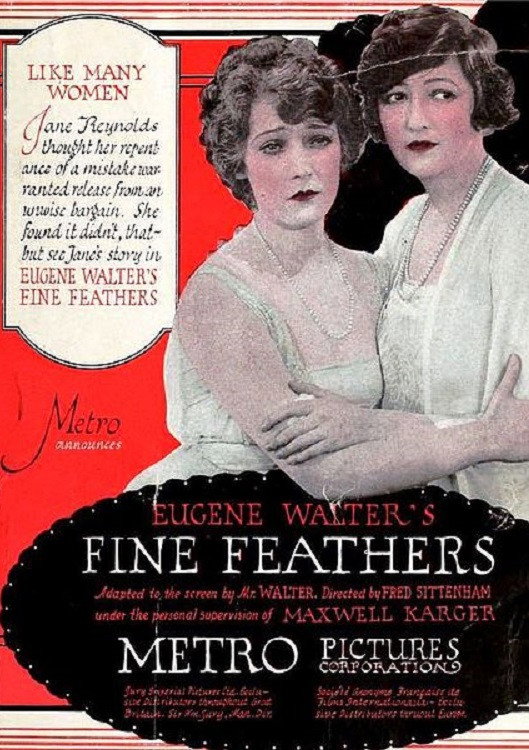 Fine Feathers