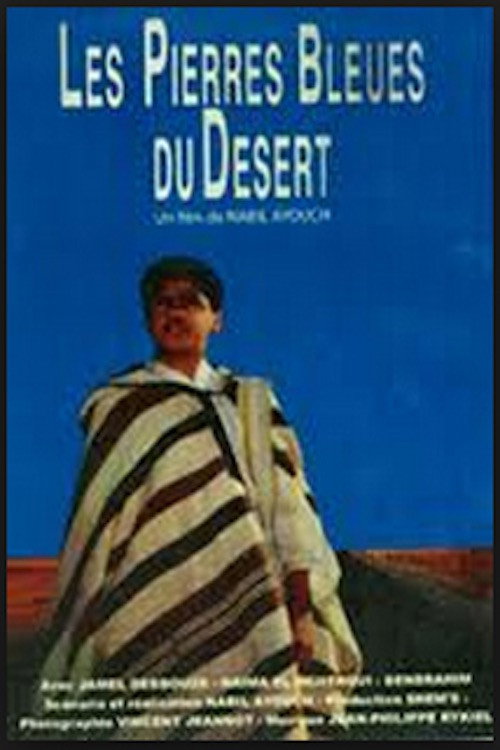 Les pierres bleues du désert