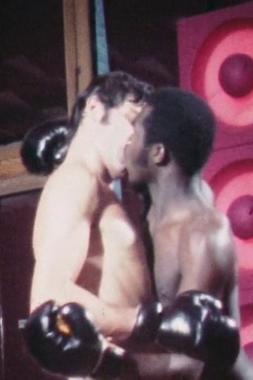 Boxing Match