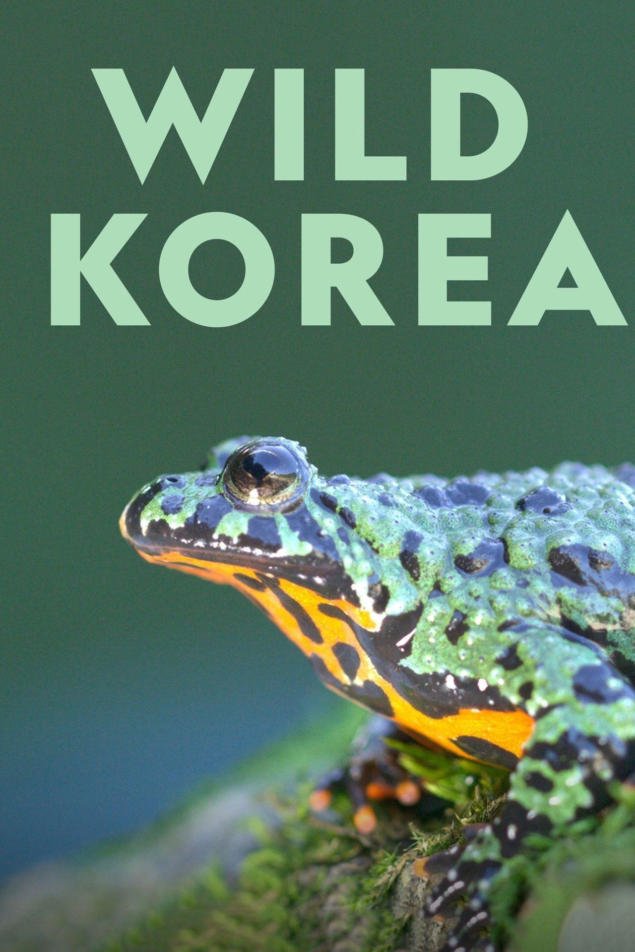 Wild Korea: Life at the Borderlands