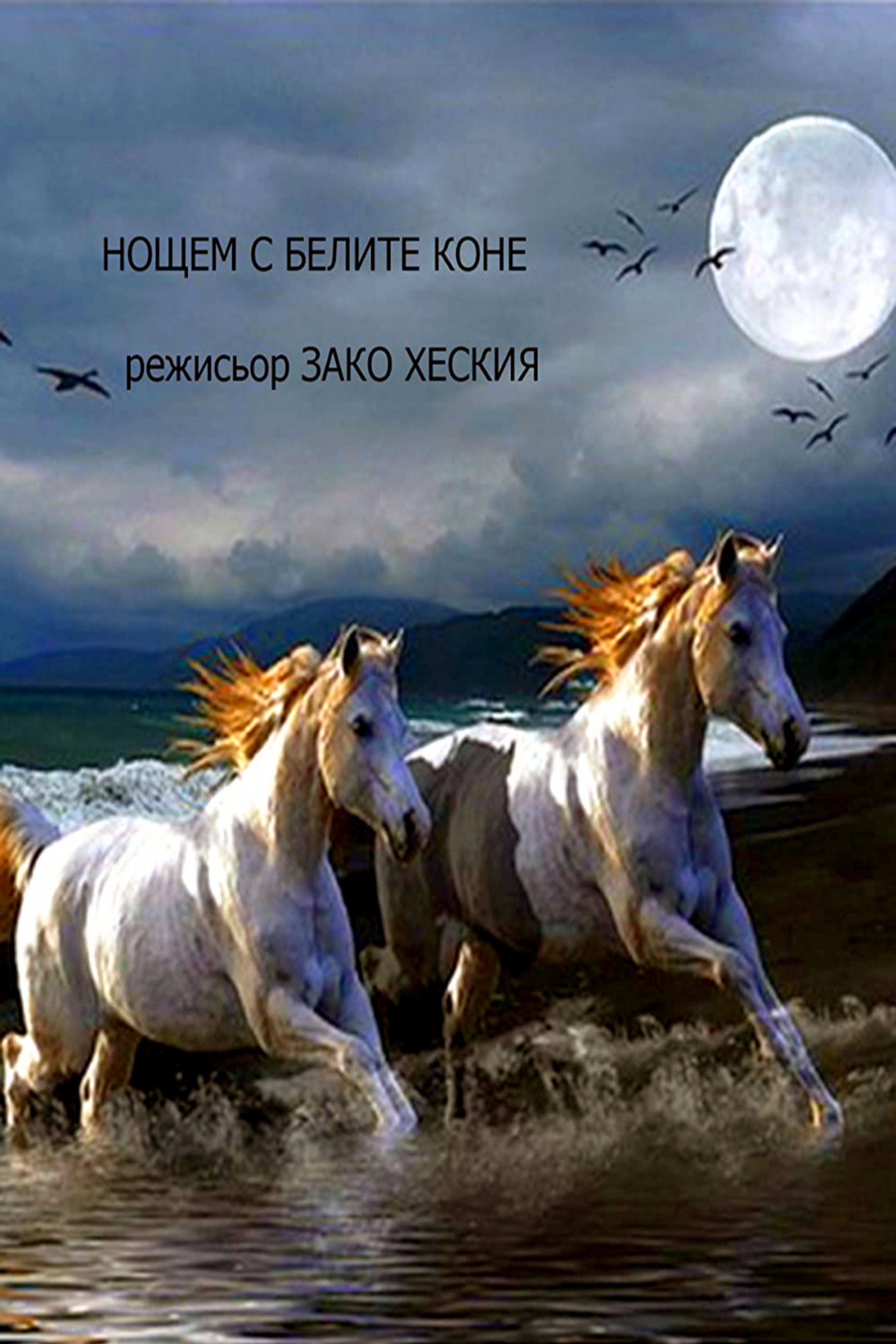 Noshtem s belite kone