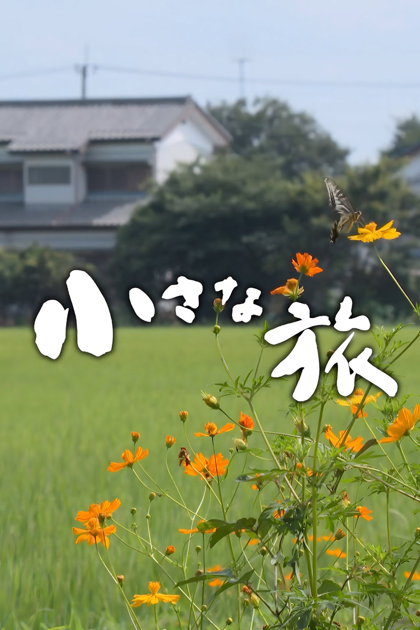 Chiisana Tabi