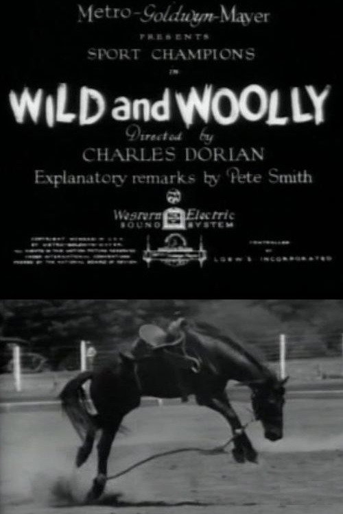 Wild and Woolly