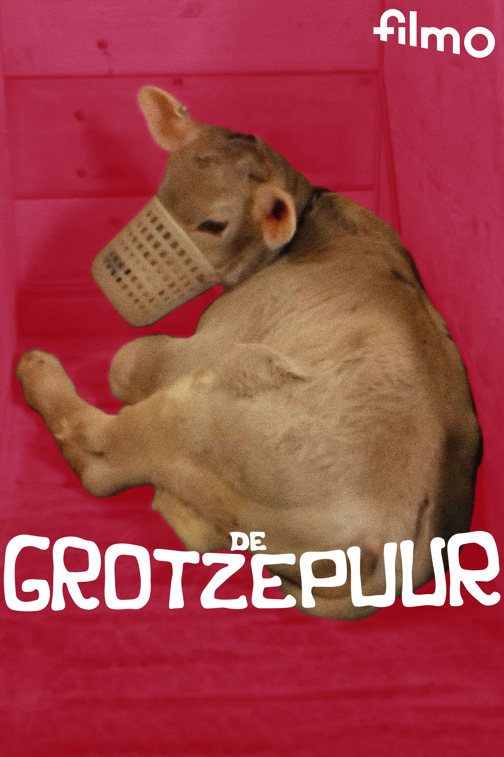 The Grotze Farmer