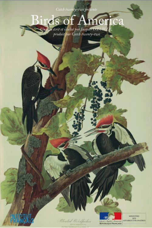 Birds of America