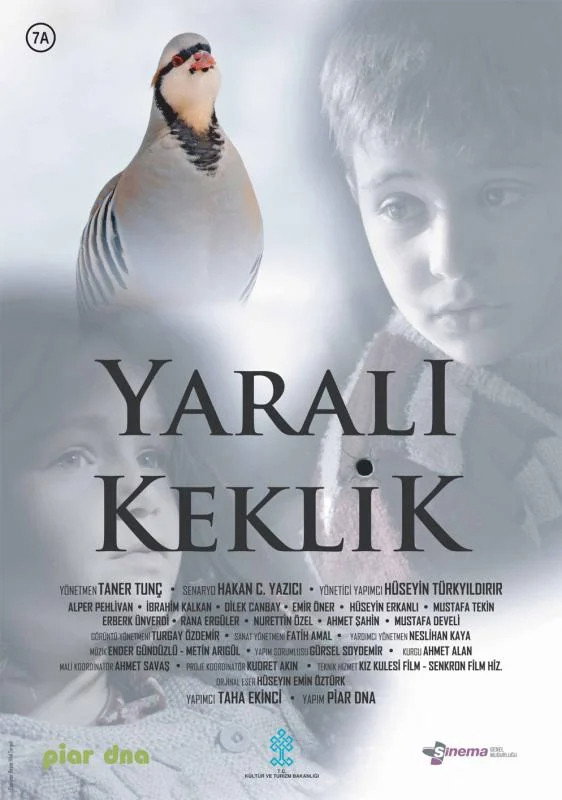 Injured Partridge