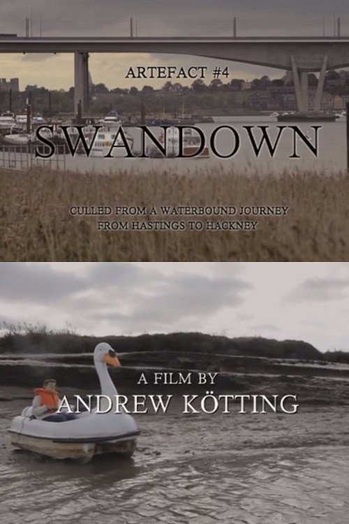 Artefact #4 Swandown