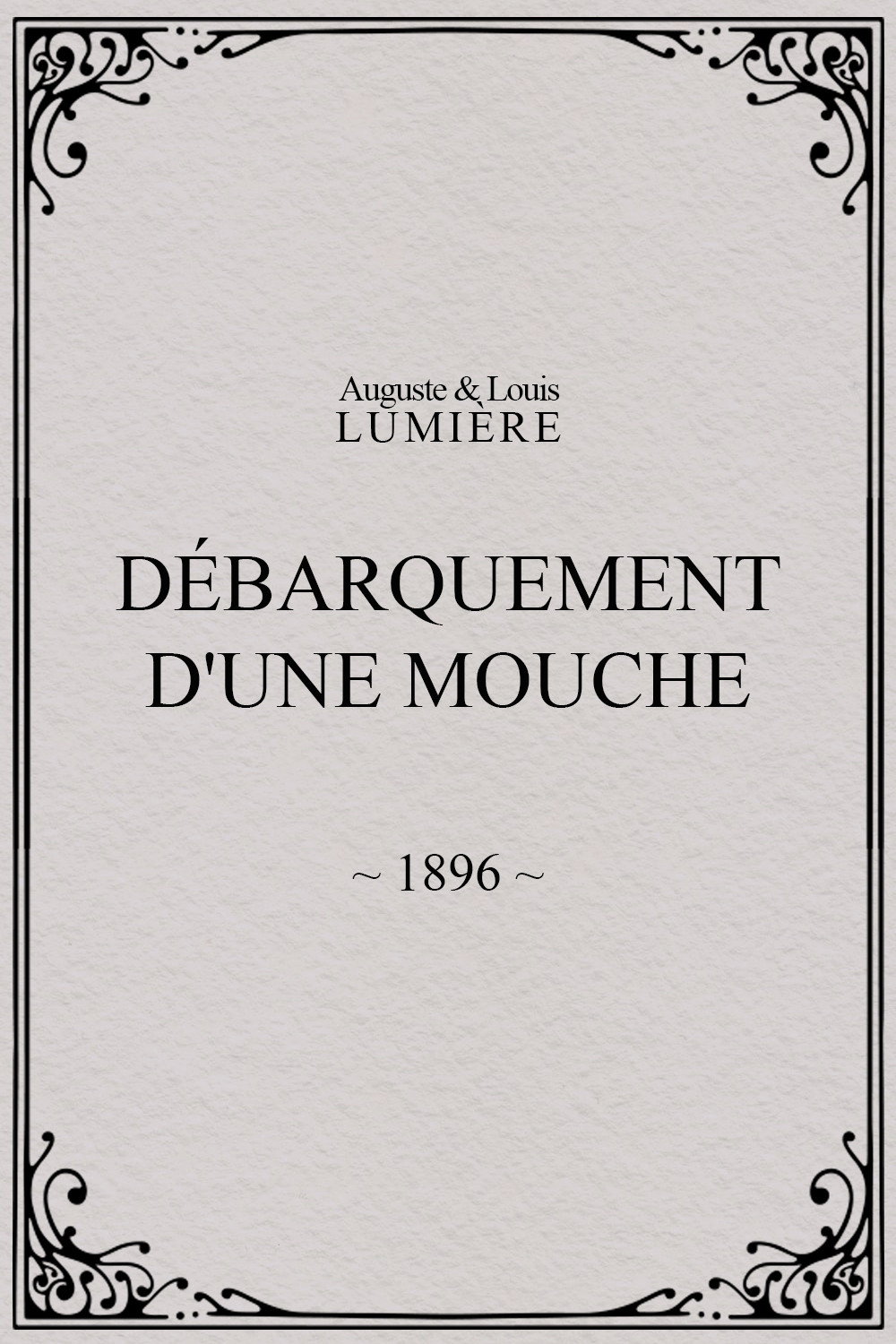 Débarquement d'une mouche