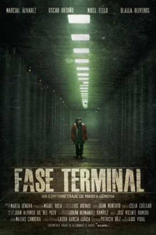 Terminal Phase