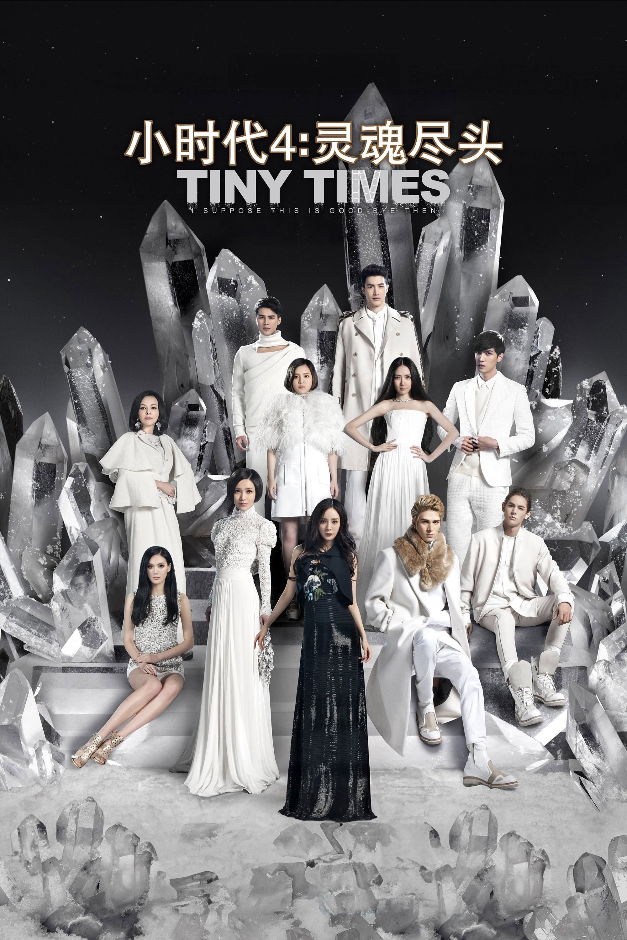 Tiny Times 4