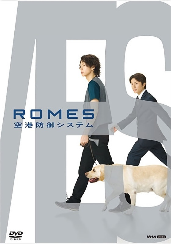 Romes: Airport Protective System