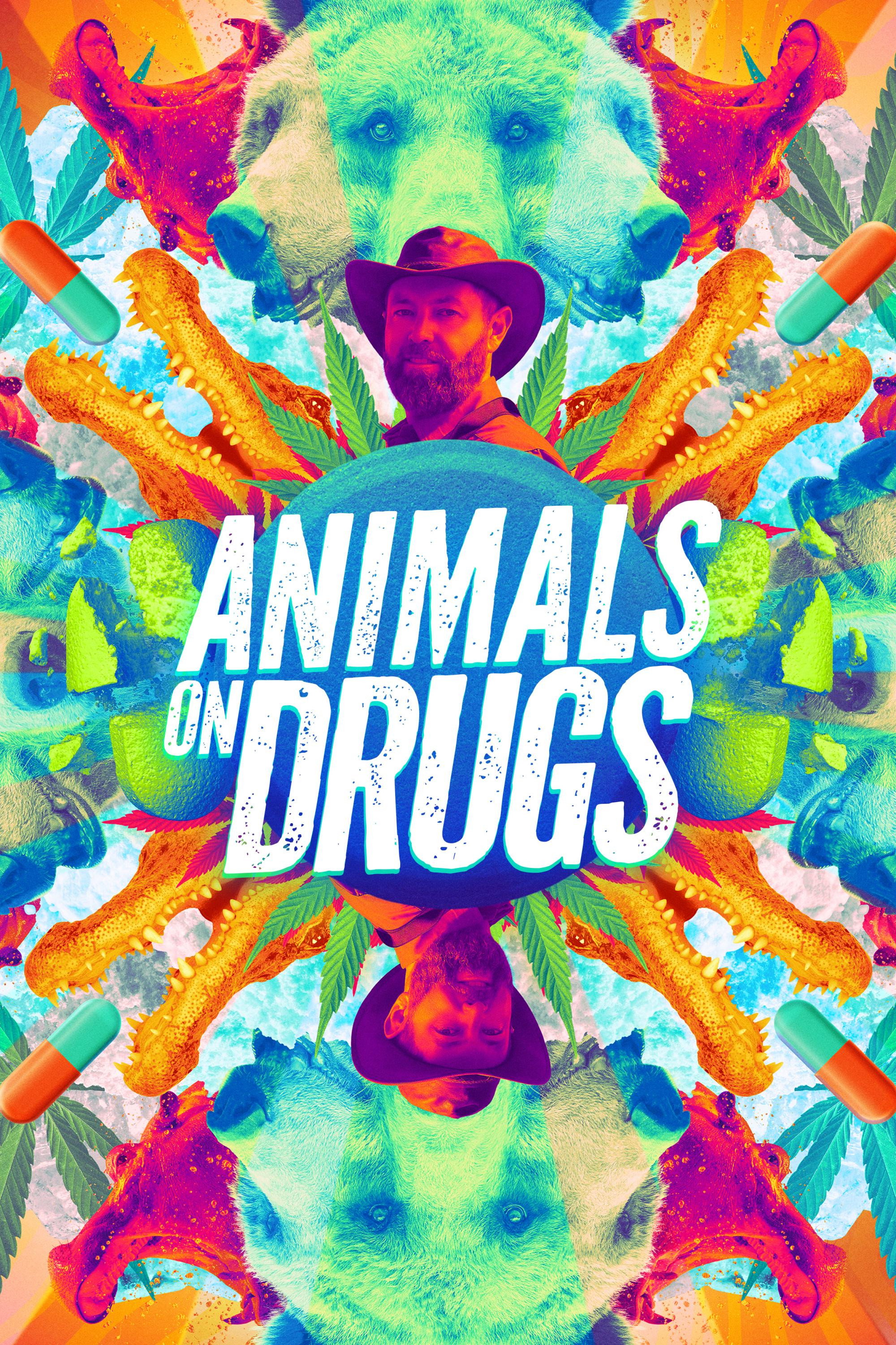 Animals on Drugs