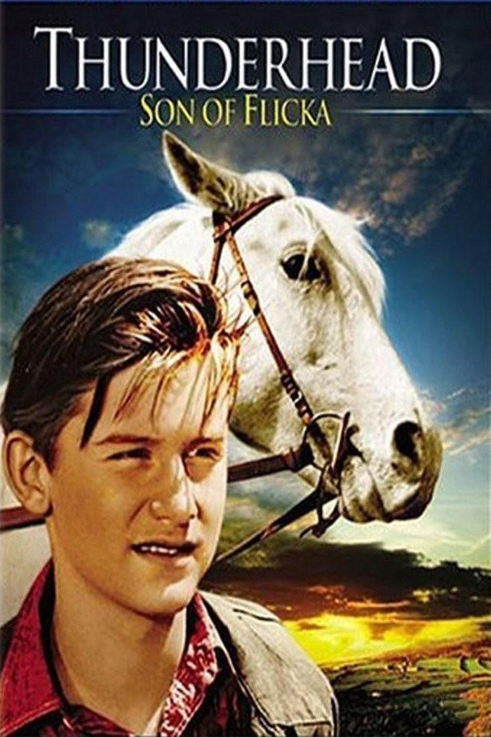 Thunderhead: Son of Flicka