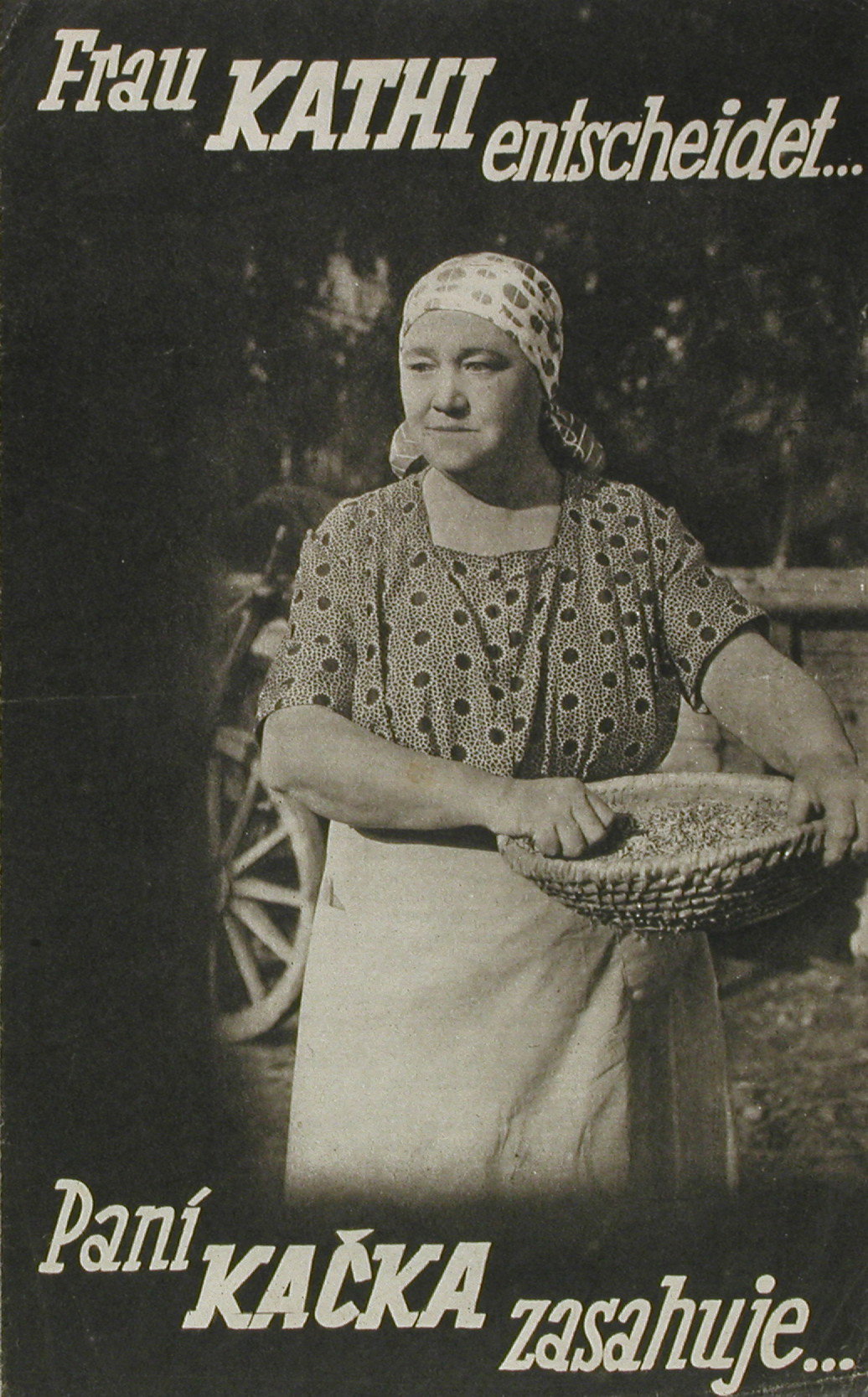 Paní Kacka zasahuje