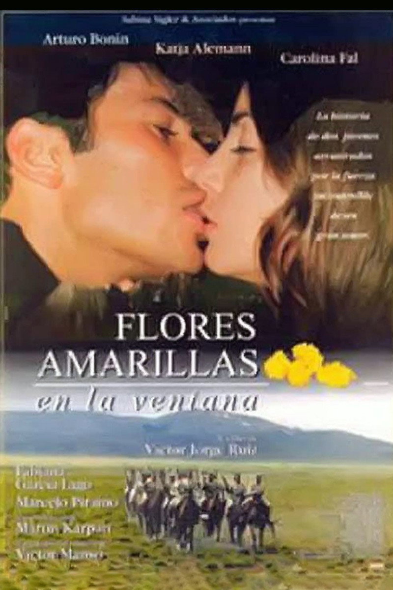 Yellow Flowers in the Window