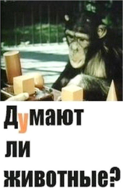 Do Animals Think?