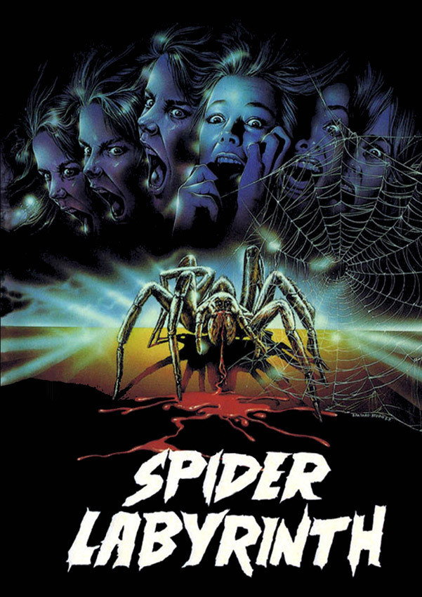 The Spider Labyrinth