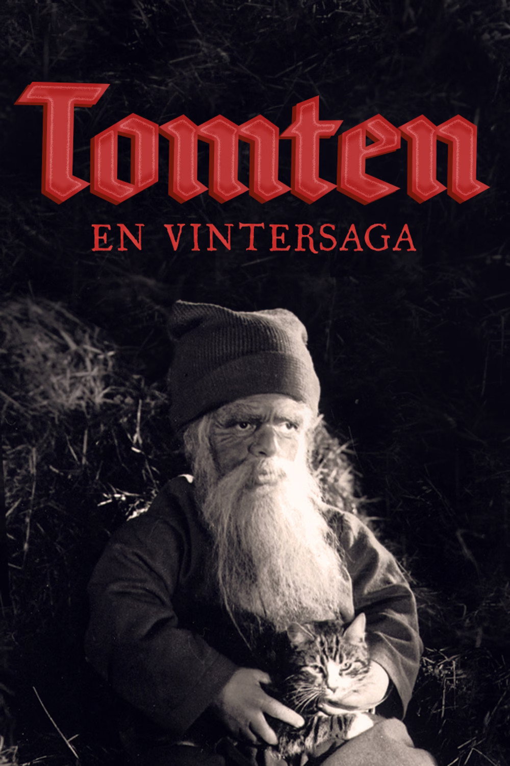 Tomten