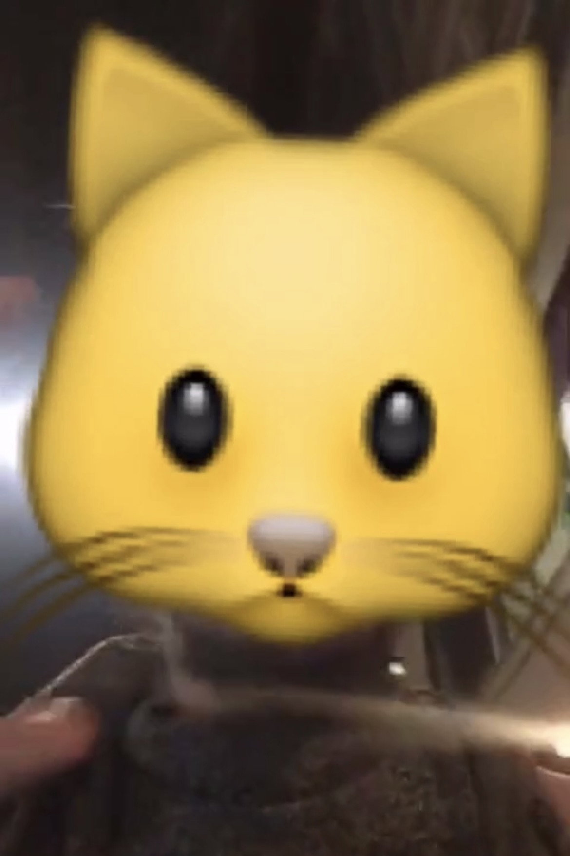 CERTAIN ROGER