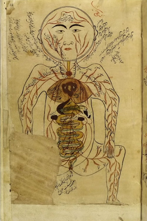 O fabula